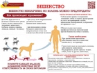 Бешенство — это особо опасное острое вирусное инфекционное заболевание, с абсолютной летальностью